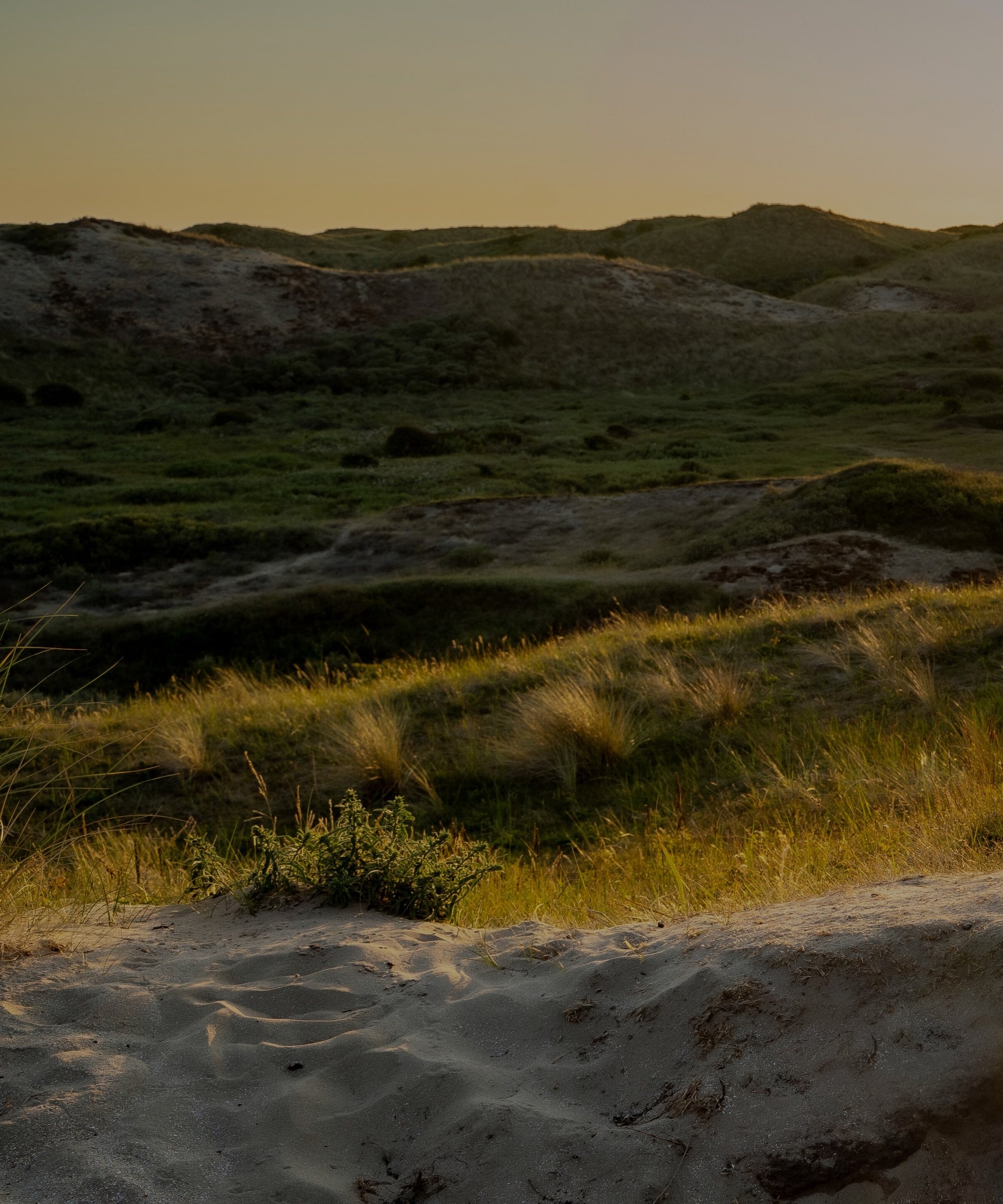duinen avondzon