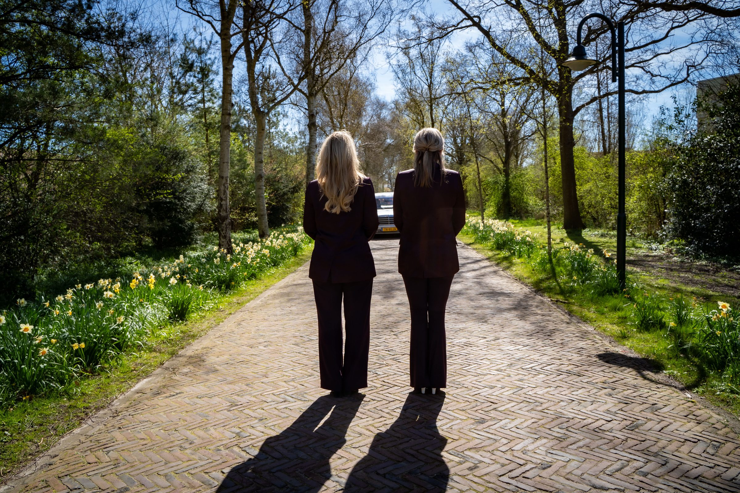 Wandelen over een laan